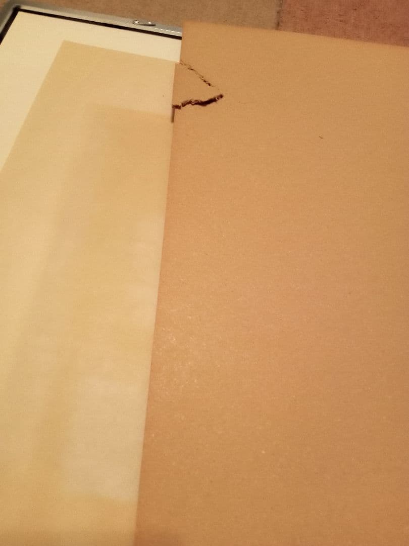 田中秀頴　秋桜子　パステル画