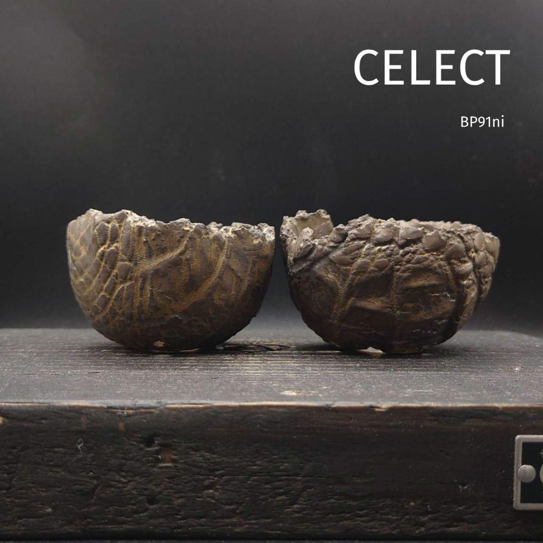 釣りが好きです。様 リクエスト 3点 まとめ商品 つり具の上州屋 - あなたのフィッシング＆アウトドアライフをサポート