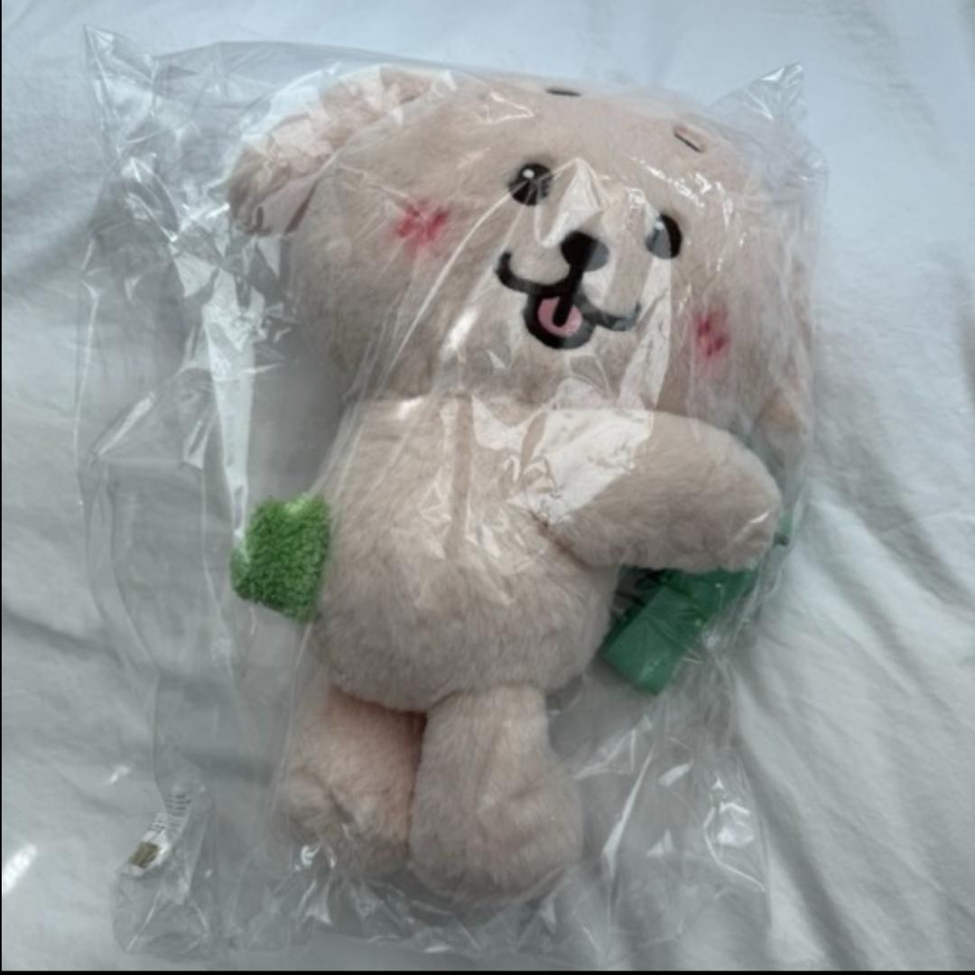 NCT WISH ジェヒ バッグ トレカ付 ソウルコン - メルカリ