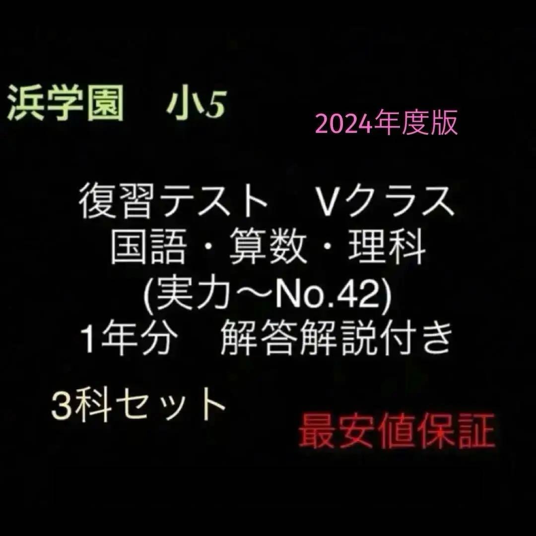 浜学園　小5　国語算数理科　Vクラス　復習テスト　実力〜No.42　解答解説付き 浜学園 小5 2025年度 Sクラス 復習テスト 国語 算数 理科｜Yahoo