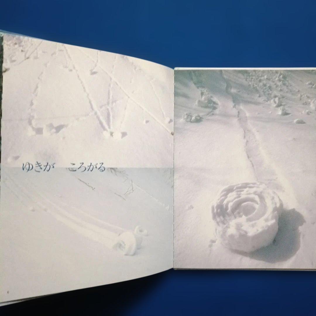 ビッグサイエンス　キンダーブックしぜん　ゆき　ゆきってなあに？