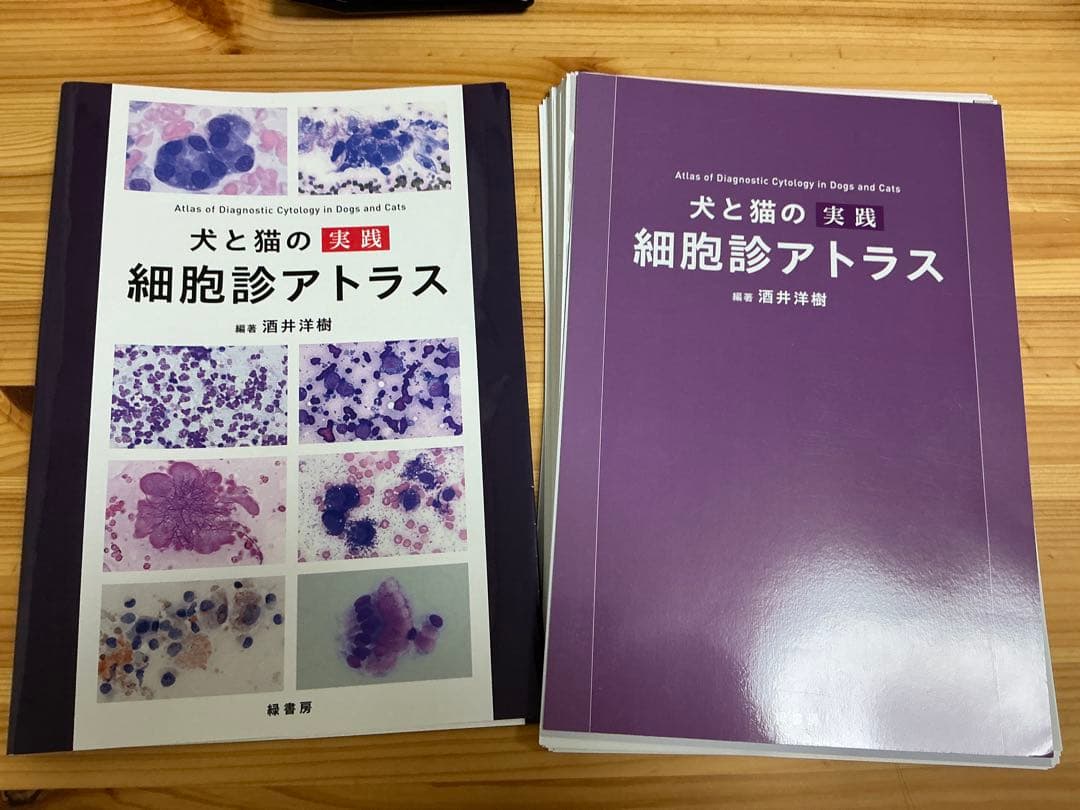【裁断済み】犬と猫の疾患細胞診アトラス 71DpR7vvxqL.jpg_BO30,255,255,