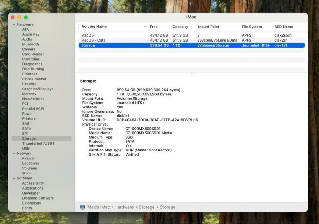 Apple iMac 21.5inch 2019モデル キーボード＆マウスセット