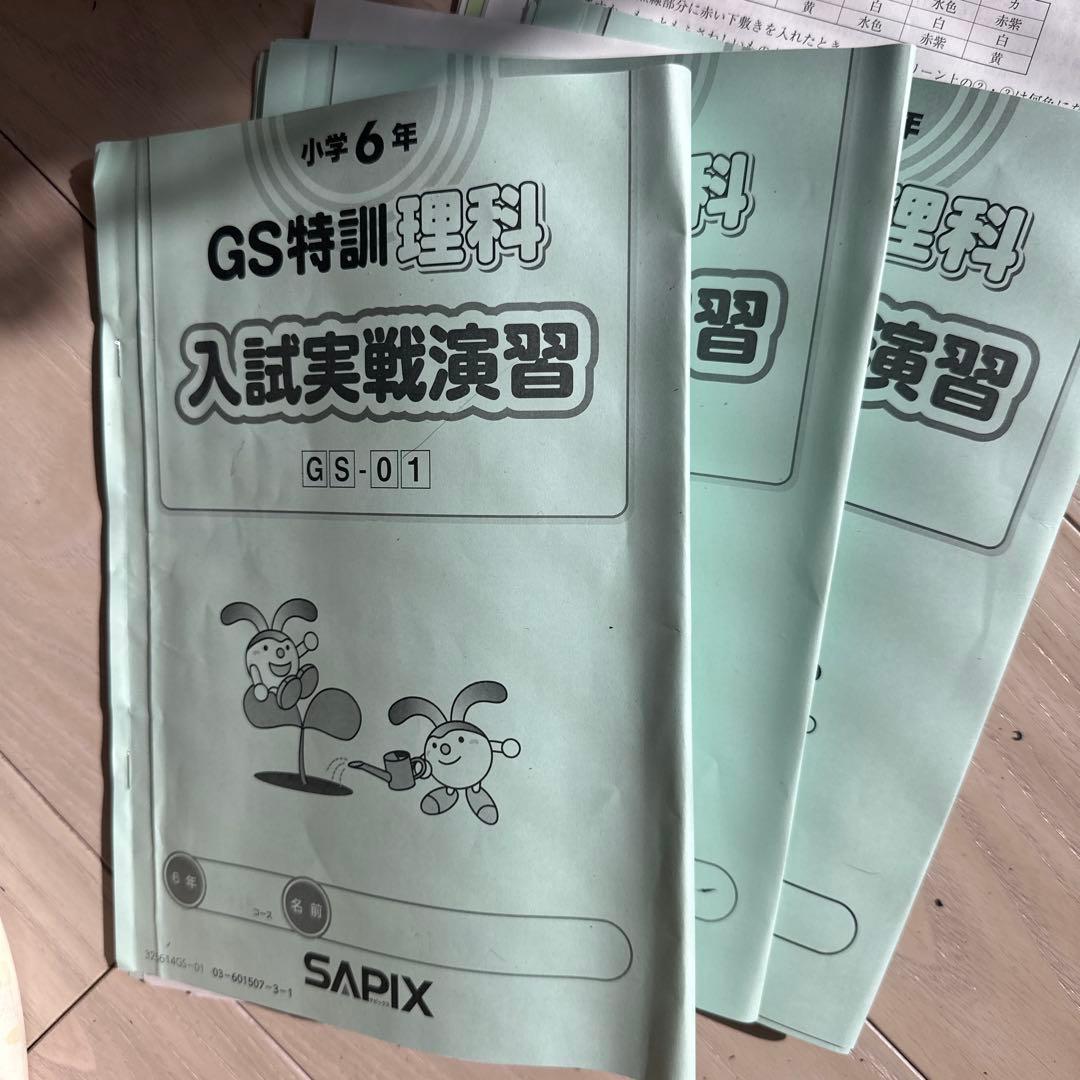 サピックス6年生-理科特訓フルセット➕GS特訓➕時事演習 - メルカリ