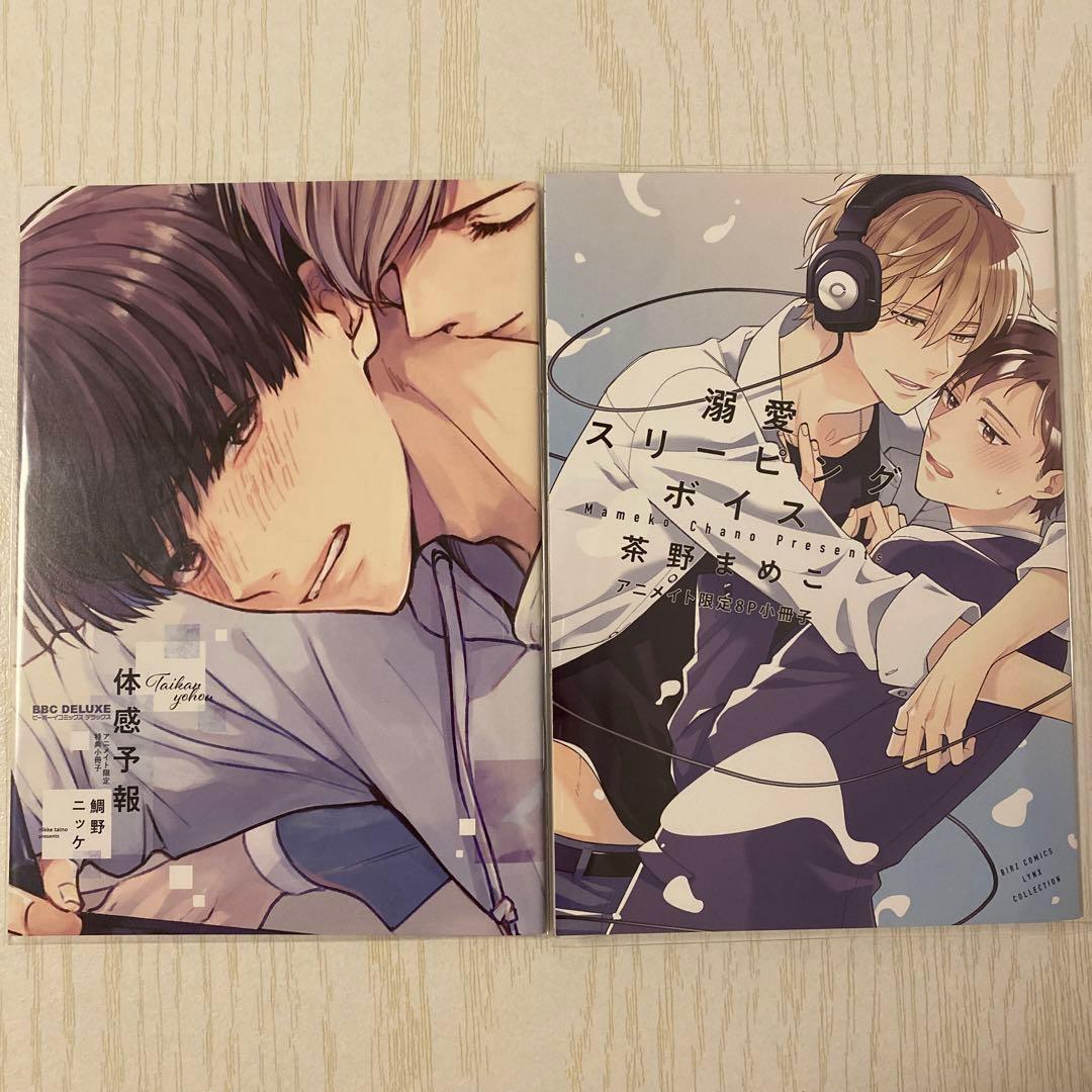 小冊子セット 駿台 数学ZX【数学III全範囲分有り】 テキスト通年セット 2023 計2冊