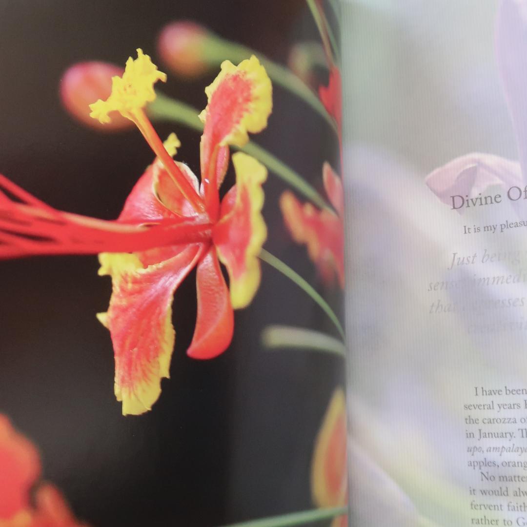 特別価格！ 希少洋書 『花のインスピレーション装飾』生花、フラワー