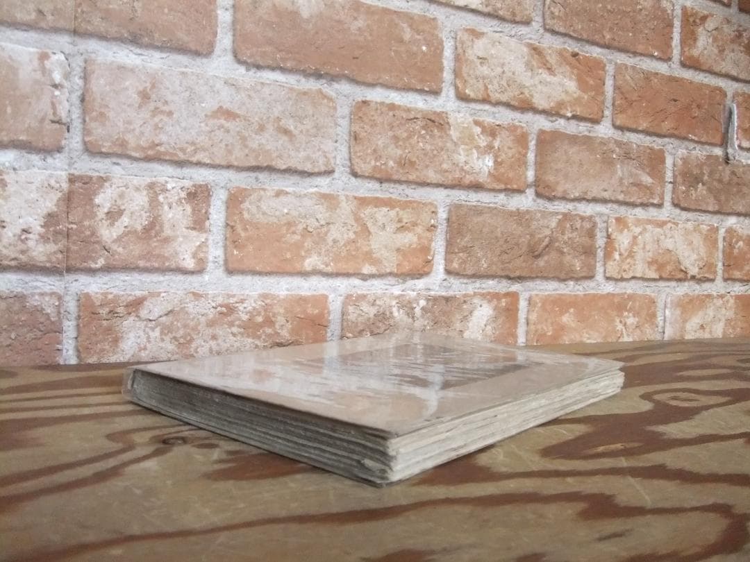 中勘助　「堤婆達多」　初版本・大正１０年・新潮社