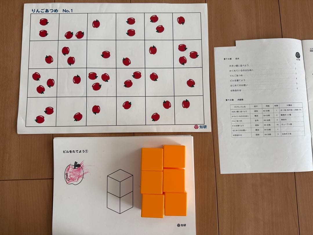 知研プログラム 第Tー5〜8期、Qー9期 - メルカリ