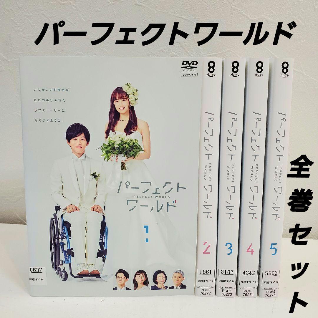 全巻セット「パーフェクトワールド」DVD レンタル 松坂桃李 松村北斗