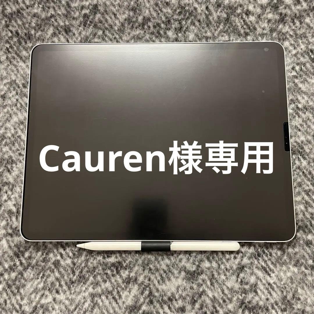 iPad pro 12.9inch 第４世代 256gb シルバー　初期化済み