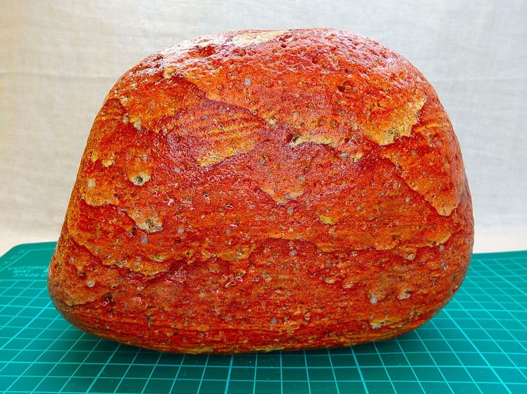 超レア!!姫川薬石赤虎(14)