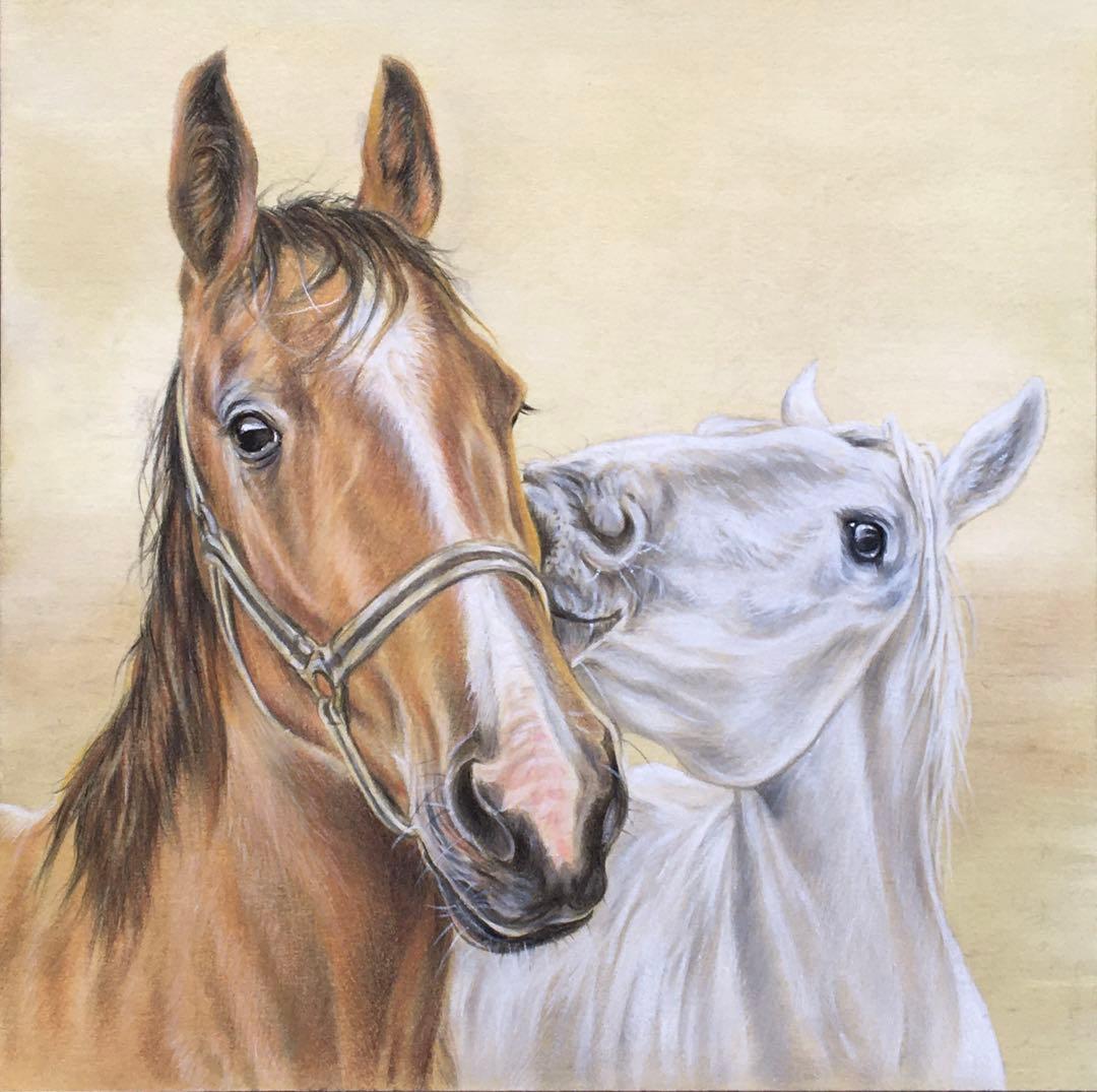 謹賀新年 馬の絵画 色鉛筆画 午年 原画 一点もの 手描きイラスト