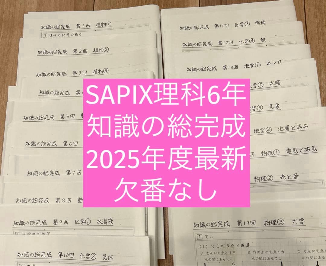 サピックス 知識の総完成 理科 6年生総まとめ 欠番なし - メルカリ