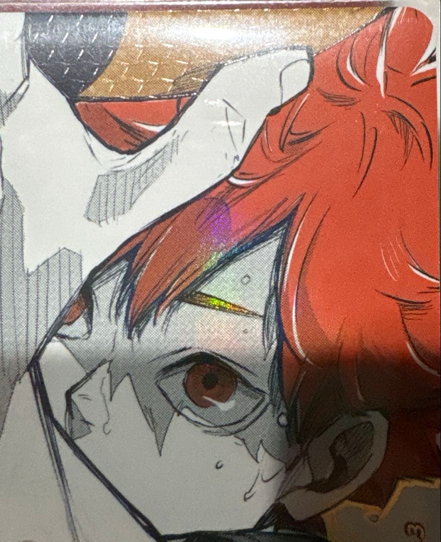 バボカ　日向　翔陽　極P　HV-P01-004