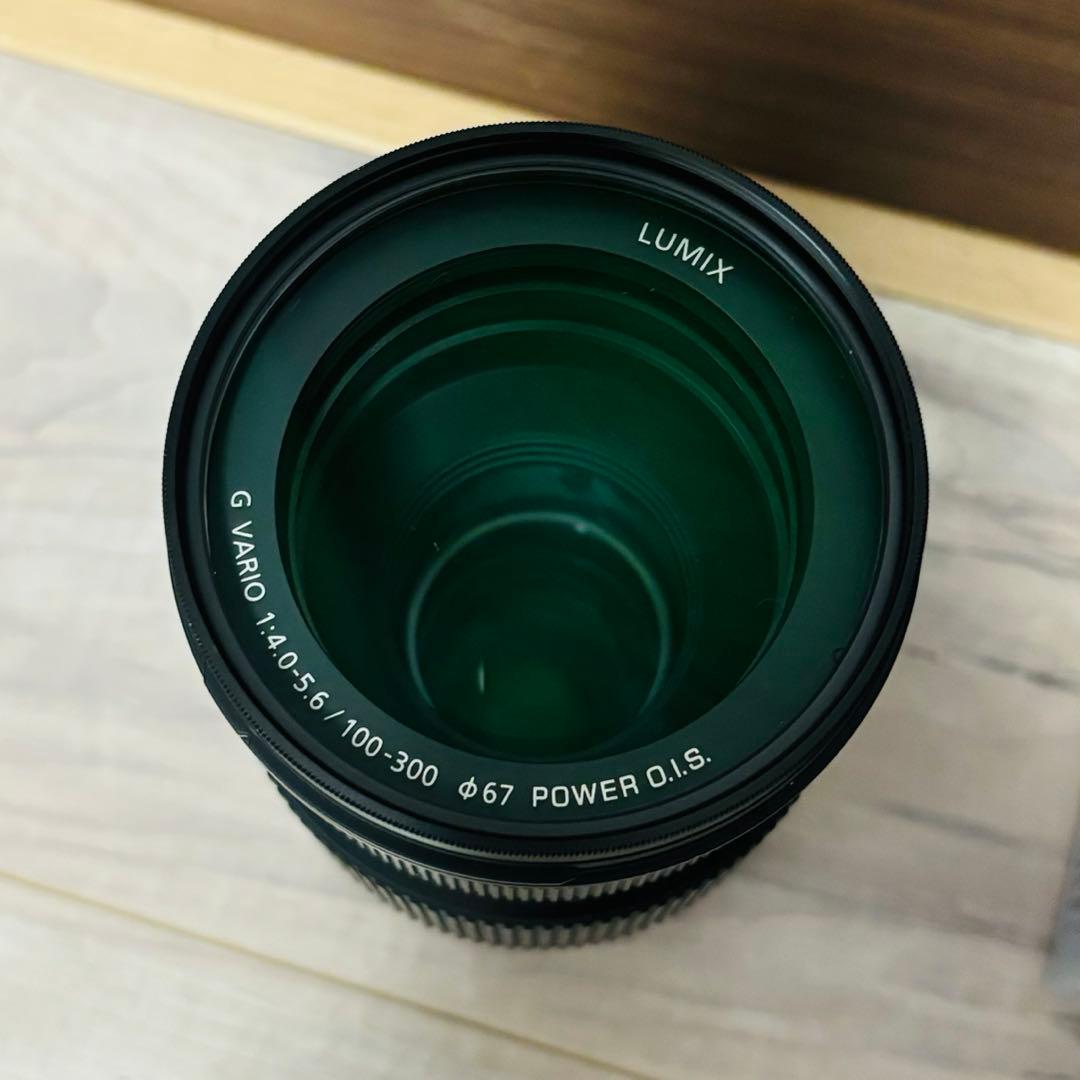 LUMIX G VARIO 100-300mm / F4.0-5.6 Ⅱ