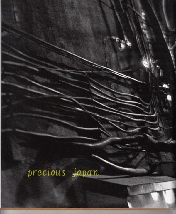 深瀬 昌久 撮影 写真集 hysteric Twelve - メルカリ