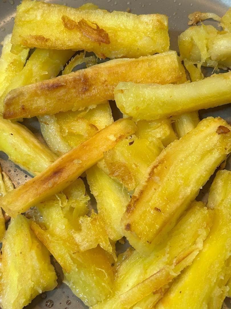 官能的な旨味と甘味。超高級☆キャッサバ・ゴールドSS☆挿し木枝。60