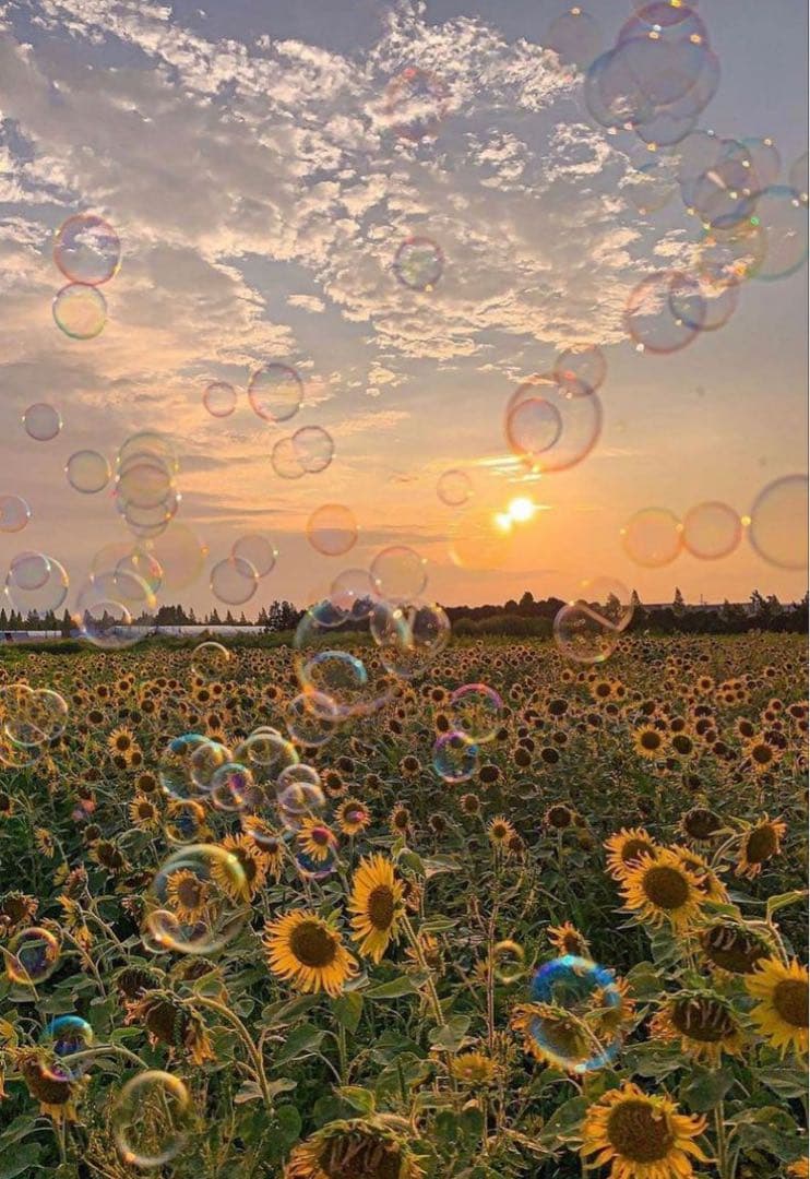 【しろ】】 adidas ZX 2K Boost 'Triple White' GY2688