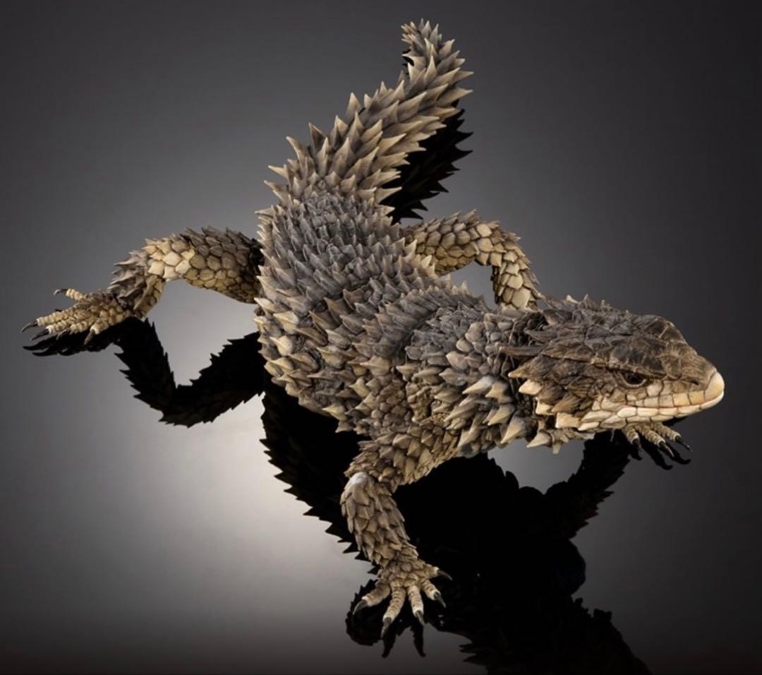 いきもの大図鑑アルティメット オオヨロイトカゲ 〈輸送箱未開封