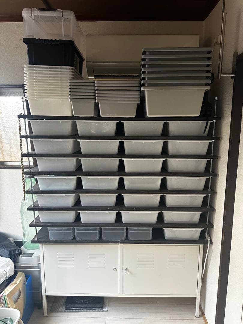 スネークラック ブリーダーラック 爬虫類ラック - メルカリ