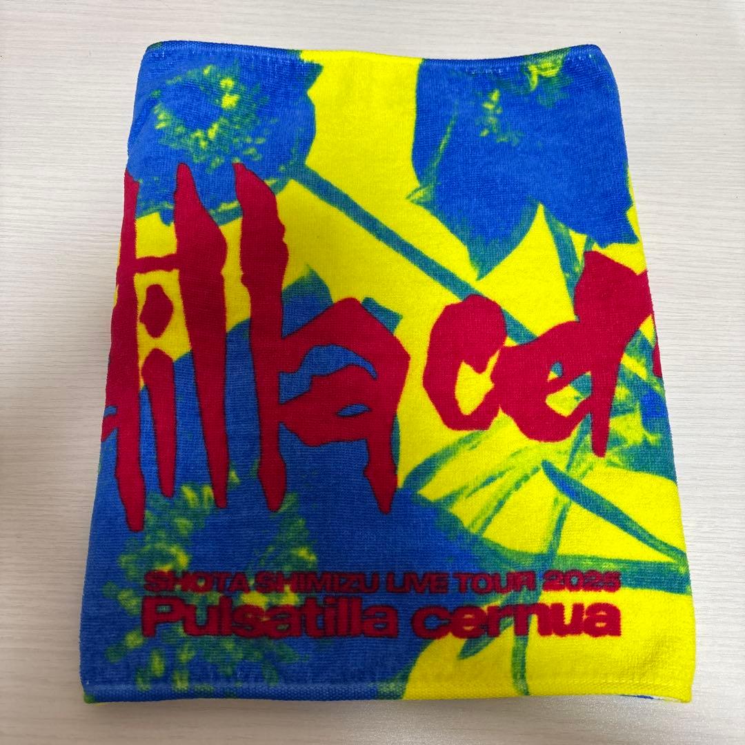 パイナップル様専用 清水翔太 タオル 2025ツアー - メルカリ