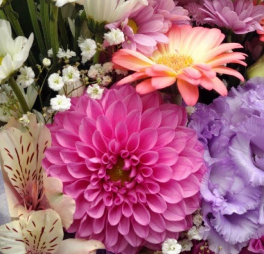 MT メタトロン　コントアローション　コントアBクリーム　2点セット MTメタトロン メタトロン コントアBクリーム 50g 2個セット MT