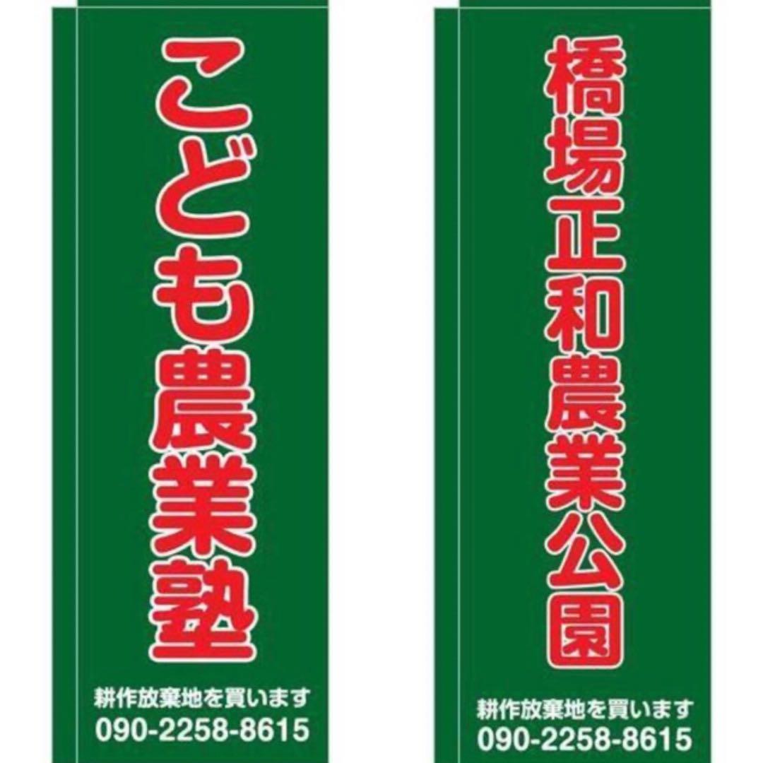 花乙女コレクション【大原裕行 紅い花・紅い葉】購入金額より60％お