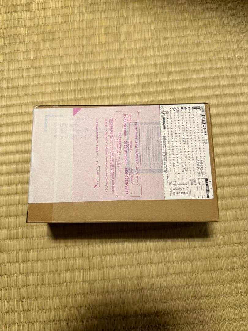 S.H.Figuarts 真骨彫製法 仮面ライダー 1号 桜島 フィギュアーツ