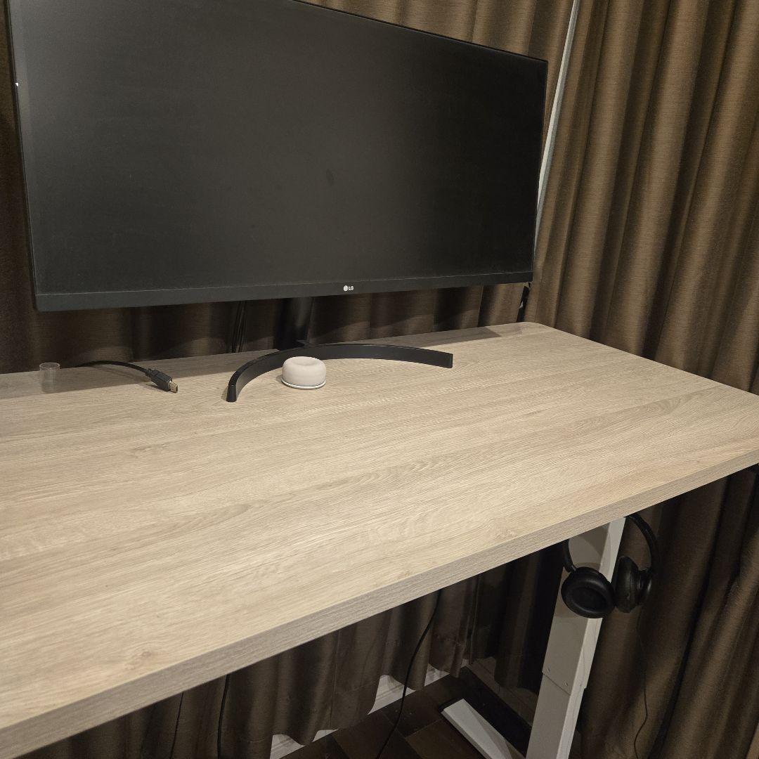 FLEXISPOT EG1 電動昇降デスク 120ｘ60ｘ73-118cm 電動昇降式デスク・EG1 | FlexiSpot 公式ストア