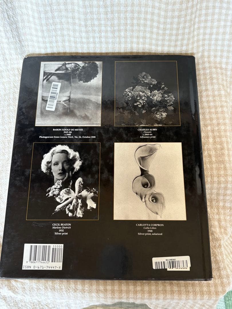 William A. Ewing ウィリアム・A・ユーイング写真集