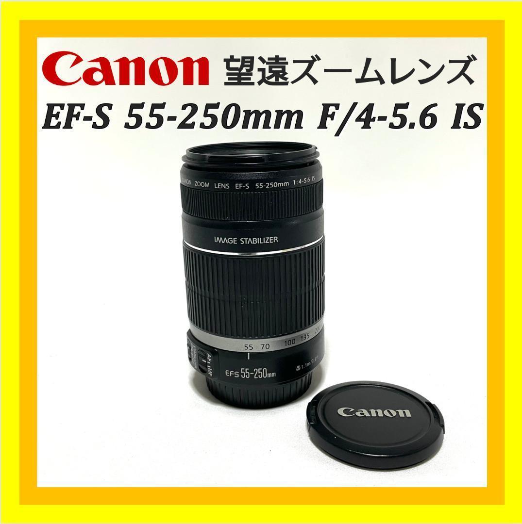 動く被写体を捉える❣️ Canon EF-S 55-250mm 望遠ズームレンズ レンタル] CANON EF-S 55-250mm F4-5.6 望遠ズームレンズ - Rentio