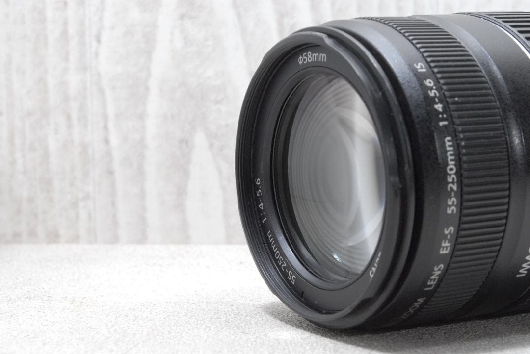 ✨Canon EOS Kiss X5✨ ダブルズーム バリアングル液晶 初心者