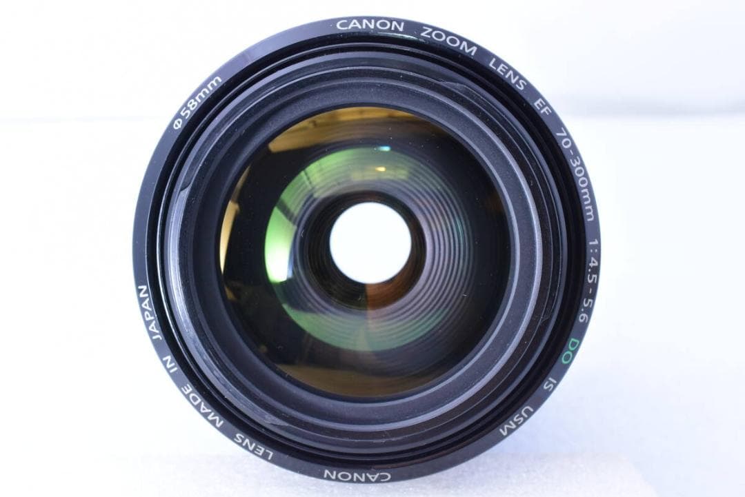 手振補正❄キヤノン EF 70-300mm F4.5-5.6 DO IS USM
