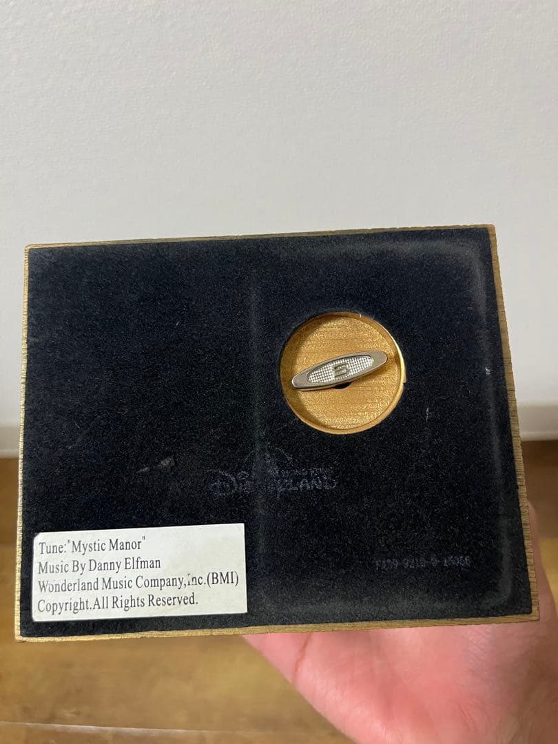 希少品］オルゴールボックス 香港ディズニー ミスティックマナー