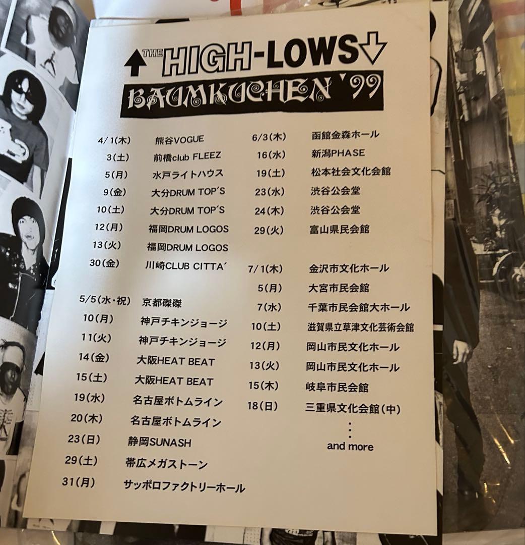 ブルーハーツ ハイロウズ パンフレット 大量10冊セット