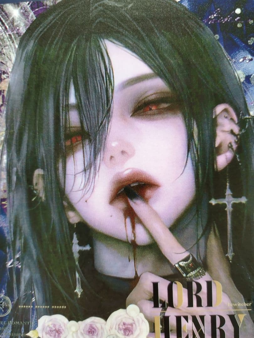 おすそ分けファイル見開き男の子＆平袋、ケース No.29 ダーク・蝶