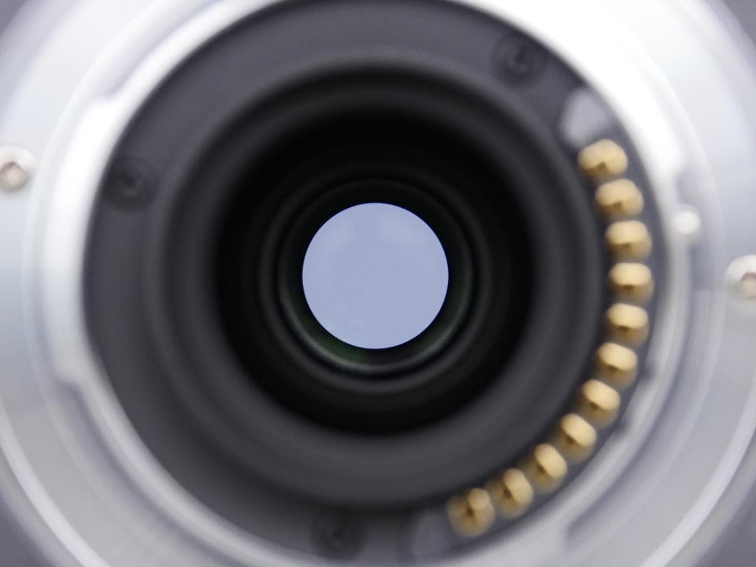 パナソニック LUMIX G VARIO 45-200mm / F4.0-5.6