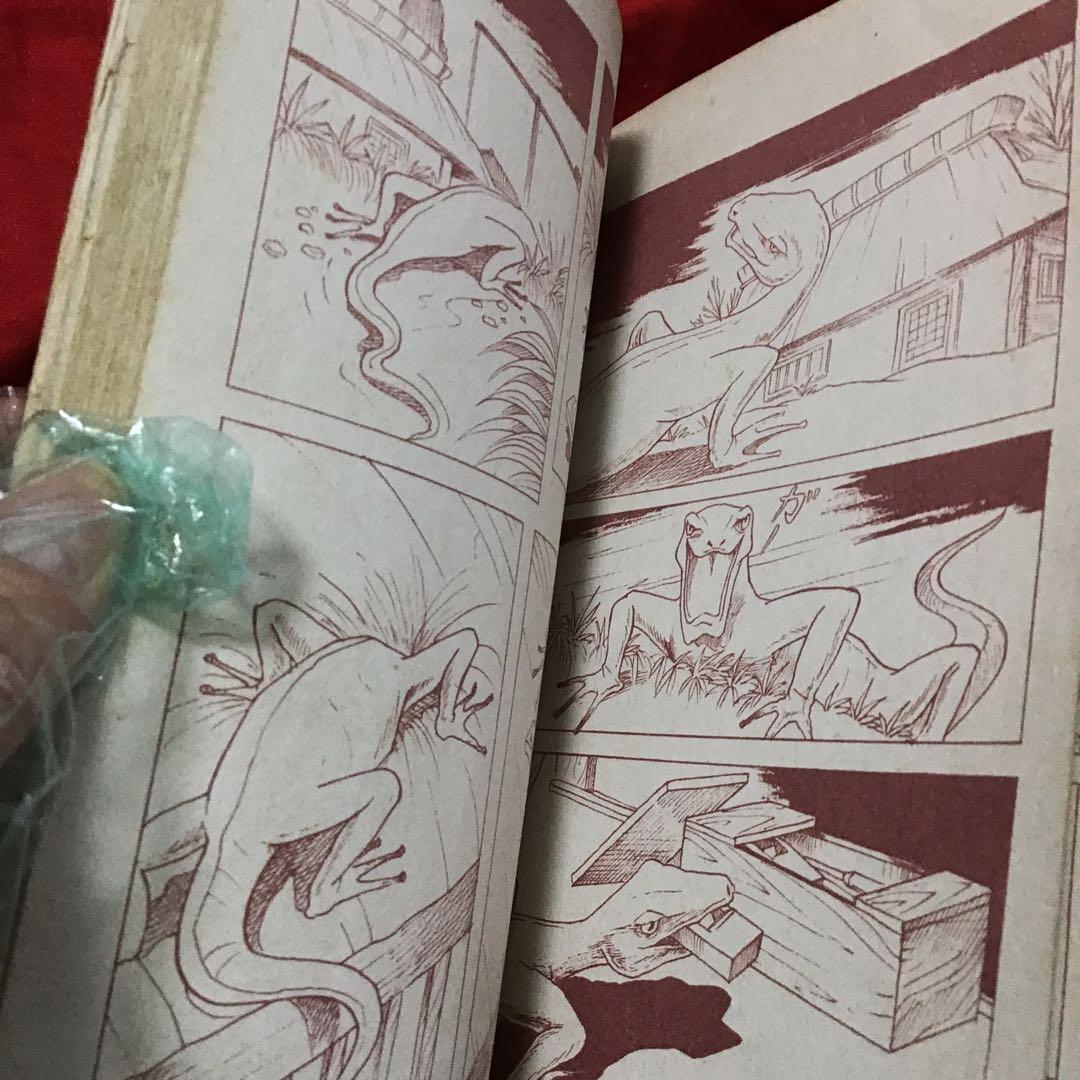 好美のぼる　少女スリラー　やもり少女　あなたもやもりにとりつかれたら？