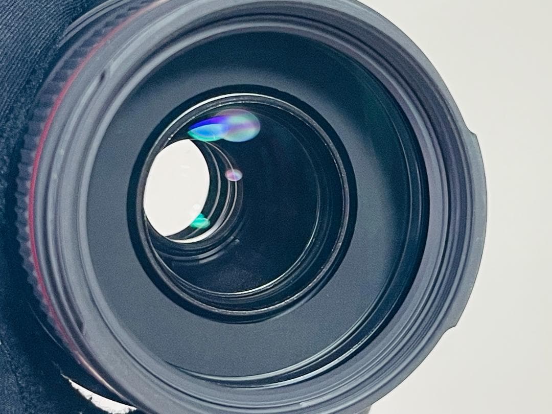 極上★シグマ SIGMA APO70-300/4-5.6 DG マクロ キヤノン