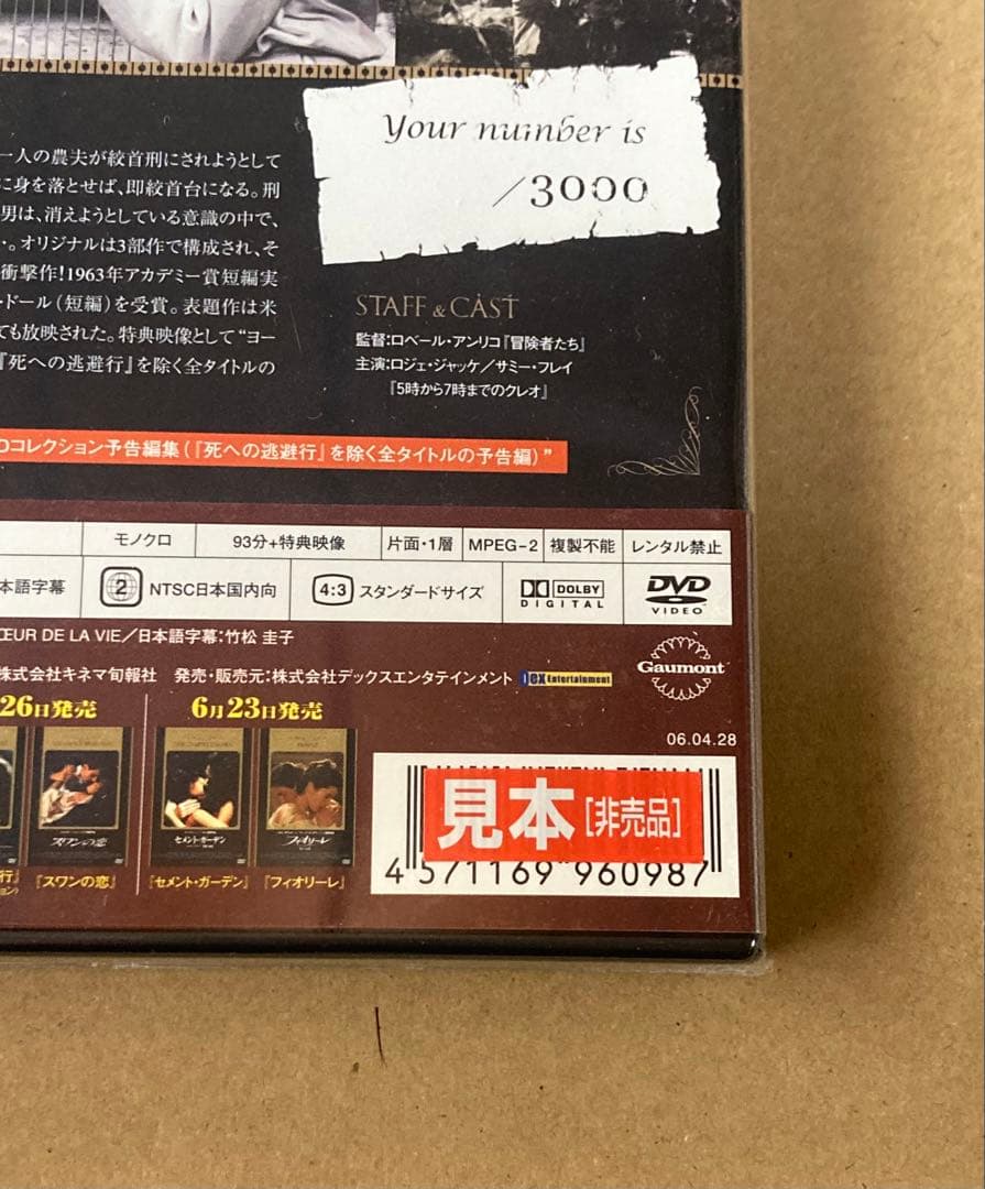 ふくろうの河　廃盤DVD 未開封品　見本版