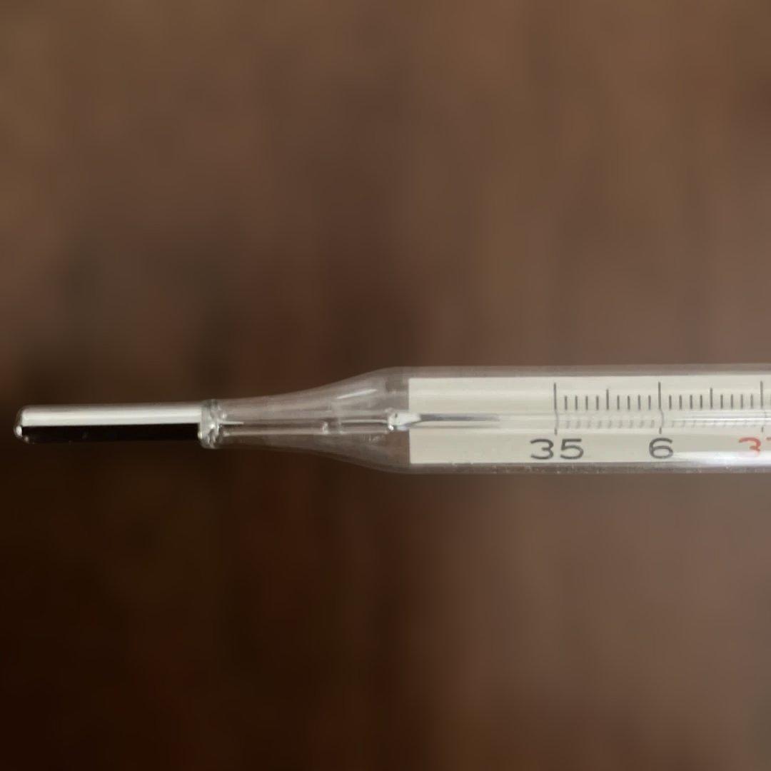 特納用 マツダ体温計（水銀体温計）【昭和レトロ】 - メルカリ