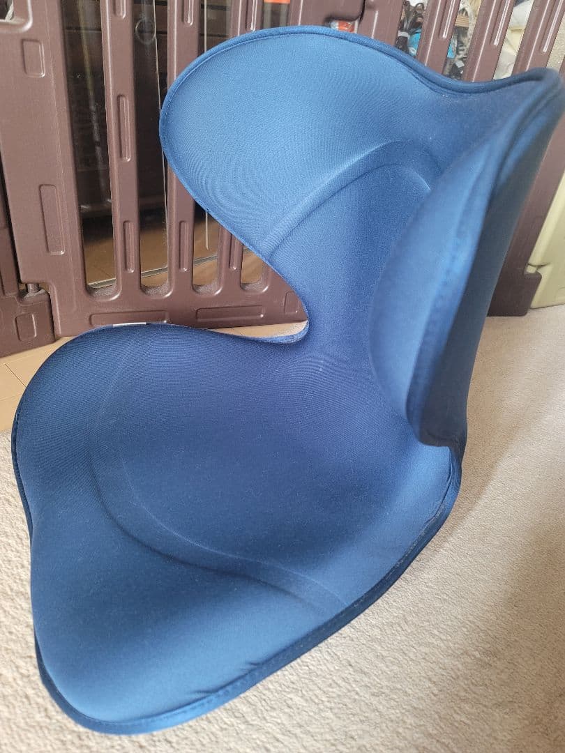 【美品】Style SMART 姿勢矯正用ネイビークッション Style（スタイル） 爆買 姿勢ケアシート スマート MTG Style Smart