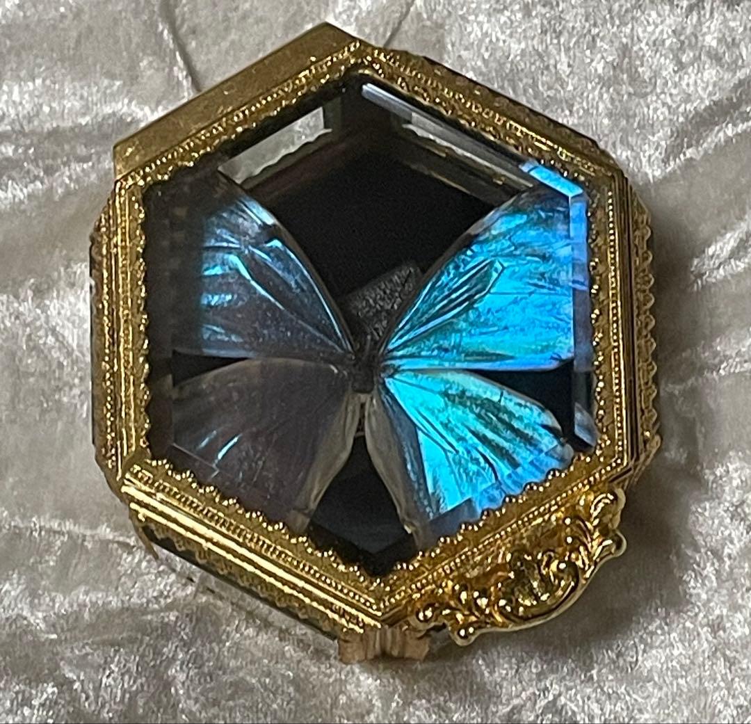 蝶 蛾 標本 ポルティスモルフォ アンティーク ヴィンテージ ジュエリー