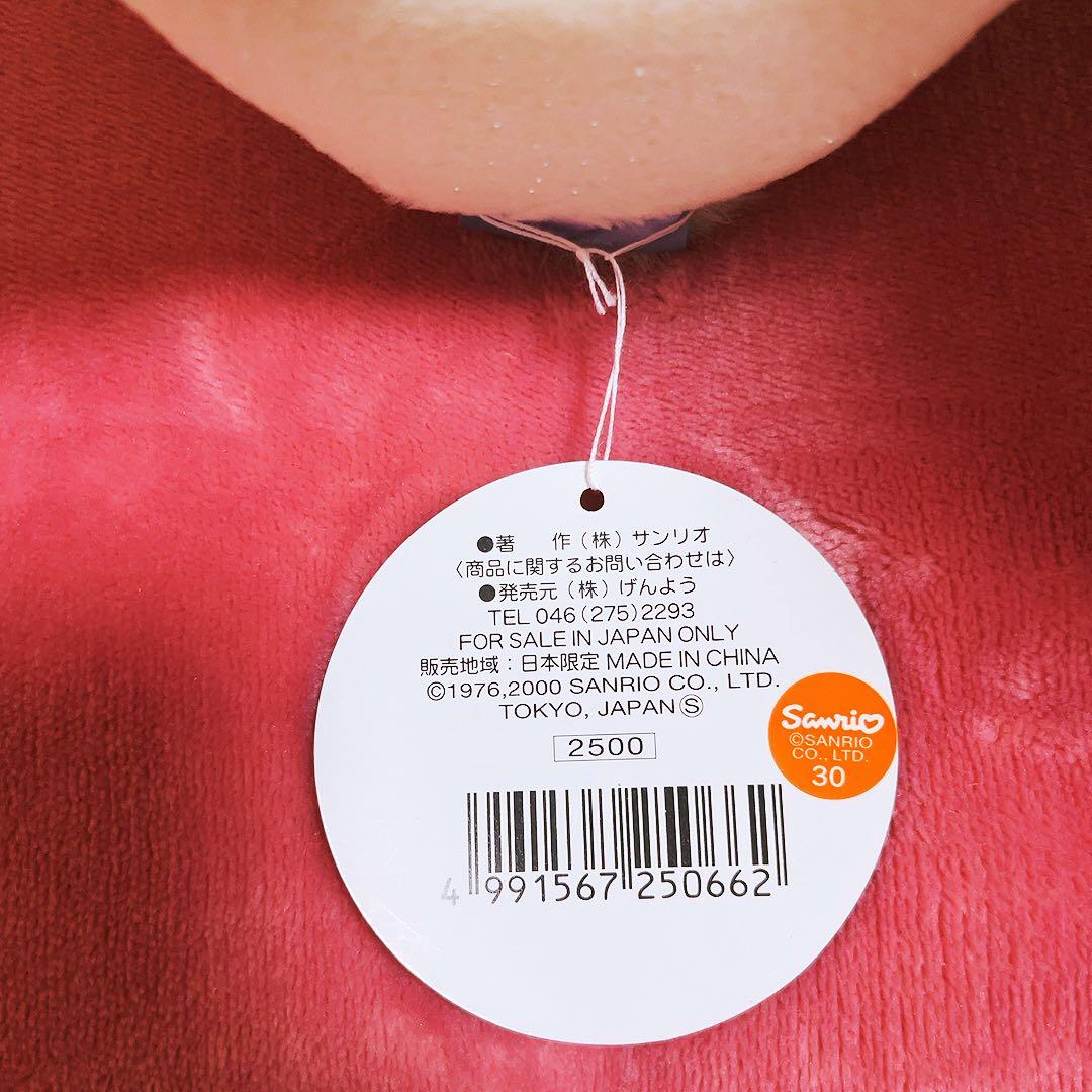 希少レア ハローキティ 北海道 雪うさぎ SM 2000年製 サンリオ レトロ
