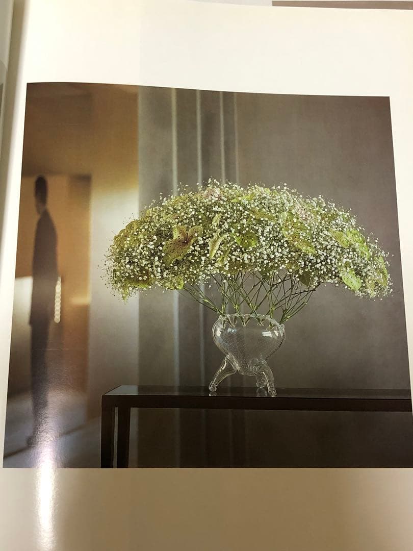 DANIEL OST ダニエル・オスト フラワーアート豪華写真集 美しい写真