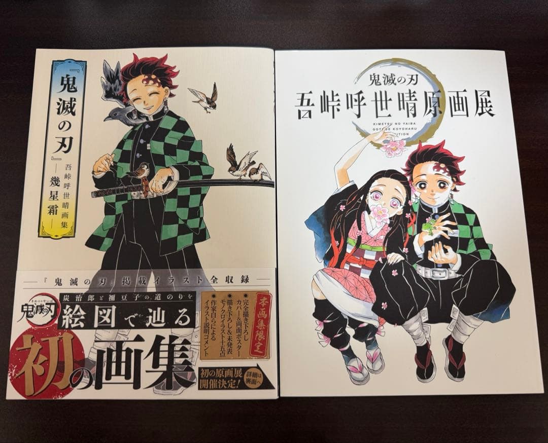 鬼滅の刃 吾峠呼世晴原画展鬼滅の刃 パンフレット 画集セット - メルカリ
