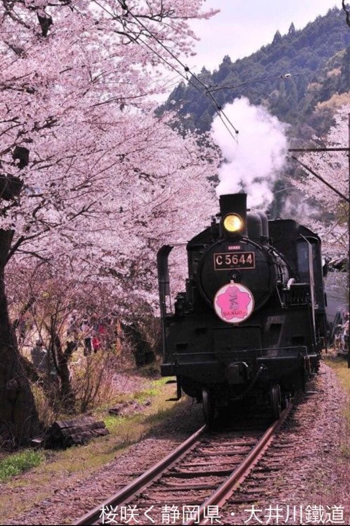 マリアージュフレール ボレロ®︎ ティーチョコレート - メルカリ