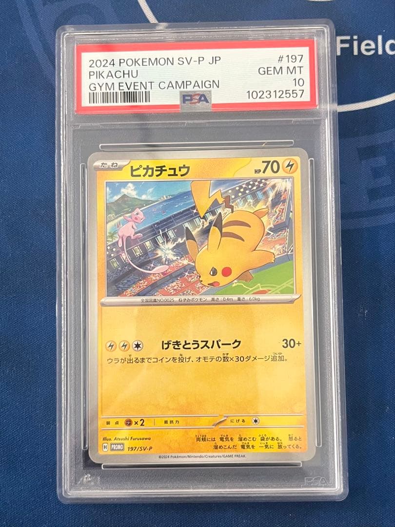 益子焼 坂田甚内 灰釉縞手皿