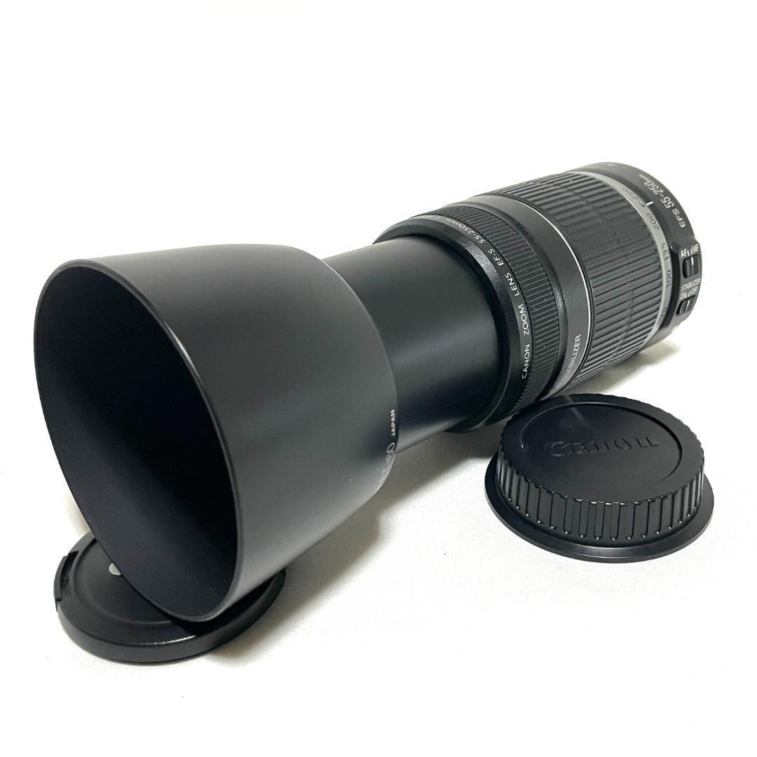 安心の手ぶれ補正☘️ EF-S 55-250mm 望遠ズームレンズ コンパクト
