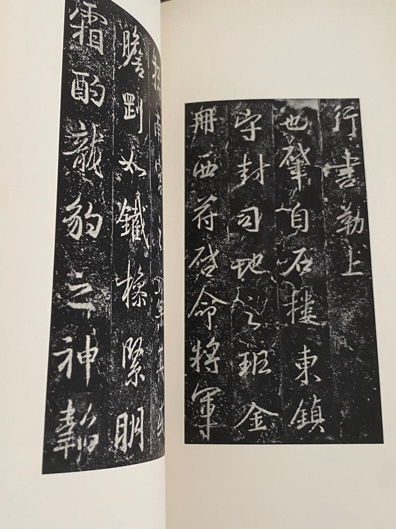 書跡名品叢刊 二玄社 北魏 東晋 隋 8冊セット 函付き 書道 書 本 参考